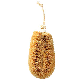 kamenoko tawashi sponge